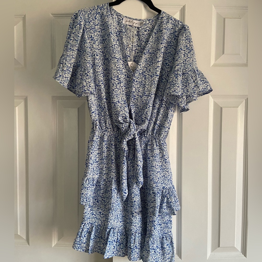 Petal & Pup Blue Floral Mini Dress